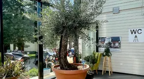 Aleksandri Guesthouse - Image 5