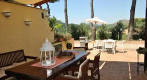 Saha tourist accommodation among olive trees and sea view - Image 3