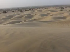 Chandani Desert Resort and Camp - Image 5