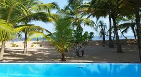 Tropical Garden - Image 5