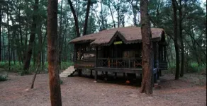 Devbagh beach resort - Junglelodges - Image 5