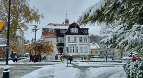 Roland Apartamenty - Image 4