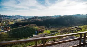 Dario Coos srl - Azienda vinicola - Image 3