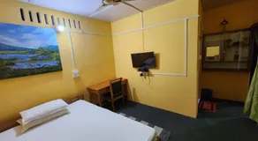 The Naturalist's Hideaway - Image 2