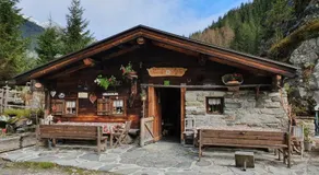 Hotel Gasthaus Schwarzenstein - Image 5