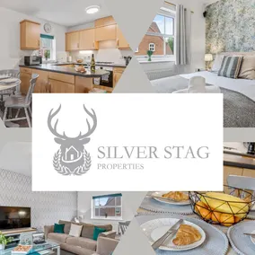 Silver Stag Properties, Modern 2 BR House - Image 2