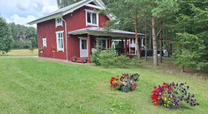 Toma pirts BRĪVDIENU - Image 4