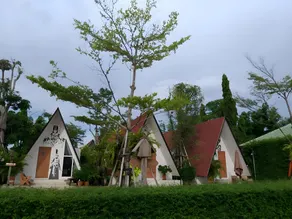 The Mug Resort - Image 3