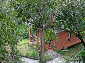 Sharavathi Adventure Camp -Jungle lodges - Image 4
