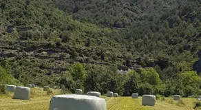 Casa "La Huerta" DE RODA DE ISABENA - Image 4