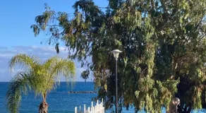 Co-living beach house by the sea in Limassol center - Image 5