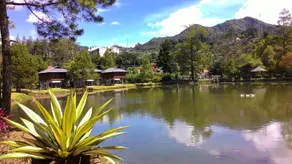 Hotel Taman Piknik - Image 4