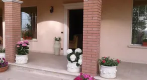 Le Palme - Image 4