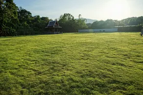 Mae Rim Grace - Image 3