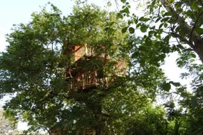 Riverside Cabana Yala - Image 5