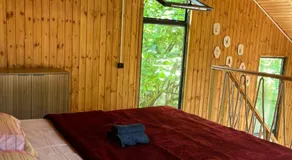 Babitouli-1 - Image 3