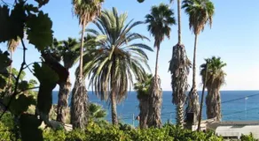 Alex - Nancy Apartments - Zaga Beach - Image 5