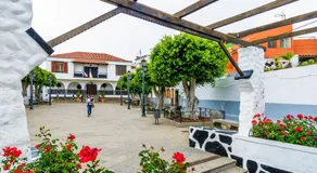 Casa del Drago – Ihr Zuhause in den Höhen von Gran Canaria - Image 5
