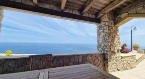Oliventu - Tra gli ulivi sul mare - Image 3