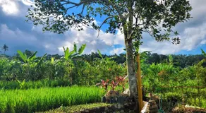 Umaloka Eco Villa - Image 3