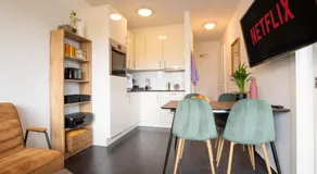 Bright Apartment with Balcony near SBB - Special MODERN LISA Apartment, Basel, up to 4 guests - Image 2