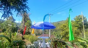 Gosela Bali - Image 4