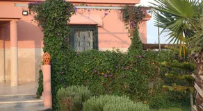 Bougainvilla Guesthouse - Image 5