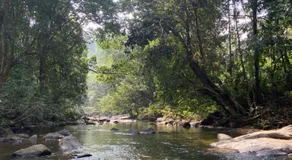 Mountain Bliss - Ingiriya - Image 5
