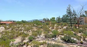 La Casa que Canta - Image 3