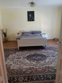 Gradina Geamiliei - Image 3