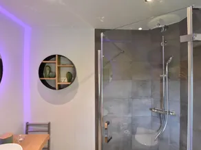 Villa in Ommen with Private Pond - Image 2