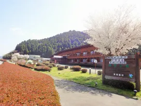 Shikino Mori - Image 5