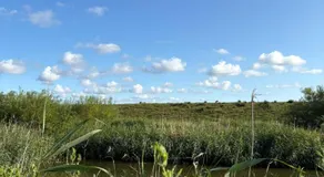 Ferienwohnungen im Womoland auf Nordstrand - Image 4