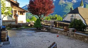 Cjase Cumine - Image 4