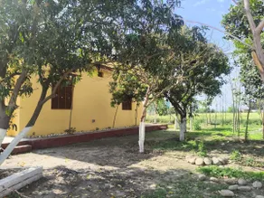 SRV Farmstays - Image 4