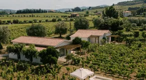 IMAGO Houses - Douro Valley - By MET - Image 5