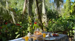 Sun & Tree HomeStay (With Green Nature View) - Image 2