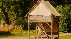 AZUR Waldcamping Auwaldsee - Image 5
