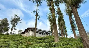 Mad & Nomad Backpackers Hostel - Image 4
