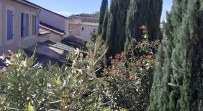 Sous le soleil des Alpilles - Image 4