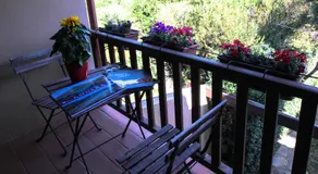 B&B MrCaruba - Image 4