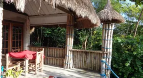 Sea Turtle House Moalboal - Image 2