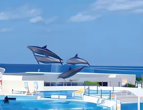 Zoe Resort The Sunset Village Okinawa Chatan - Image 5