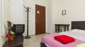 Cocoa Mews Cafe and Homestay - Image 2