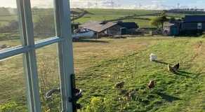 Toms Hut and Robins Rest Shepherd Huts near Wadebridge - Image 5