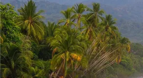 Cabinas El Paso de Moisés - Image 2