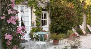 la glycine - Image 4