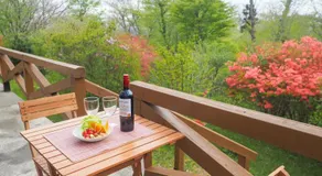Rigeru - Vacation STAY 11338 - Image 1