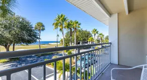 Come Stay Where the Dolphins Play! - Image 5