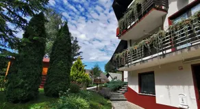 Lookout Resort in the green heart of Slovenia - Image 4